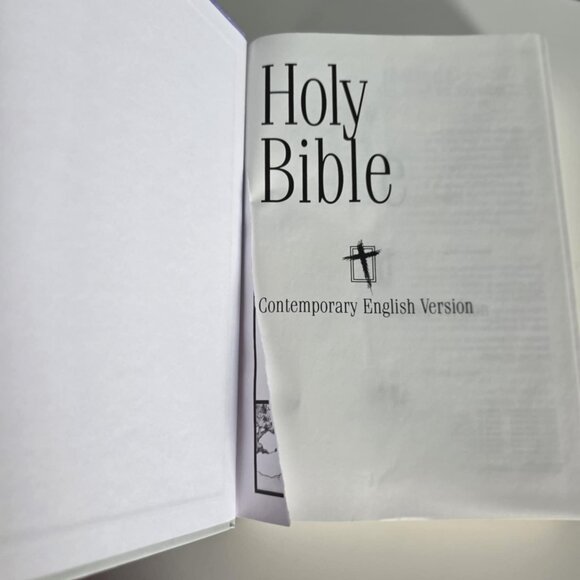 Children's Edition Illustrated Holy Bible - Picture 5 of 5